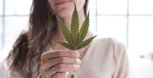 A Mom evolves with cannabis
